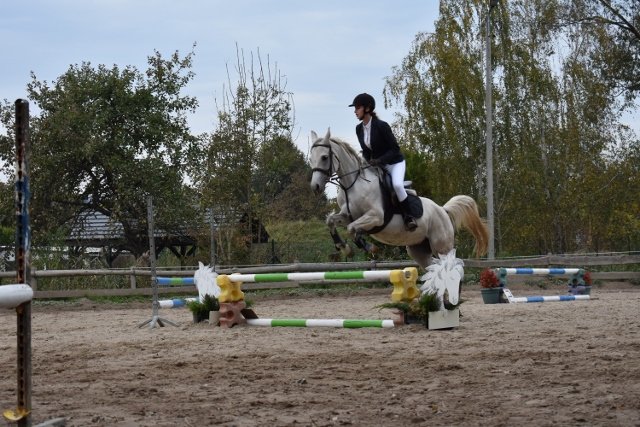 bABIE lATO 2018